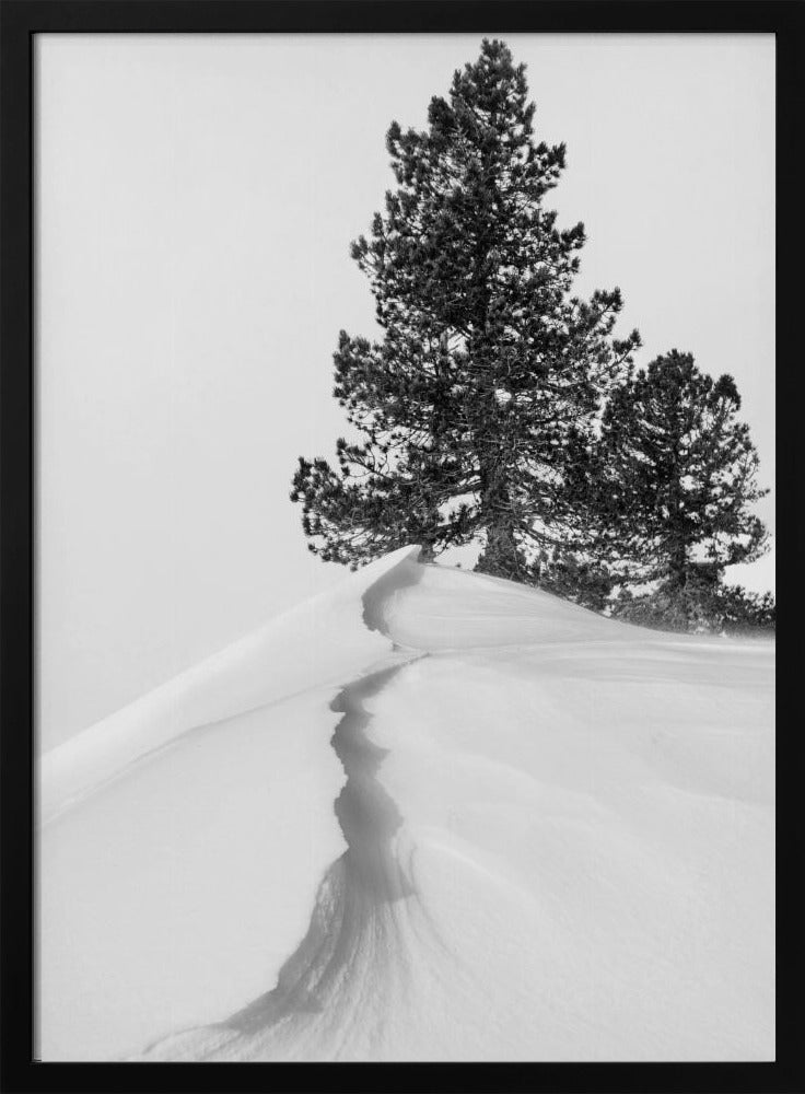 Over sneeuw en vormen | Poster