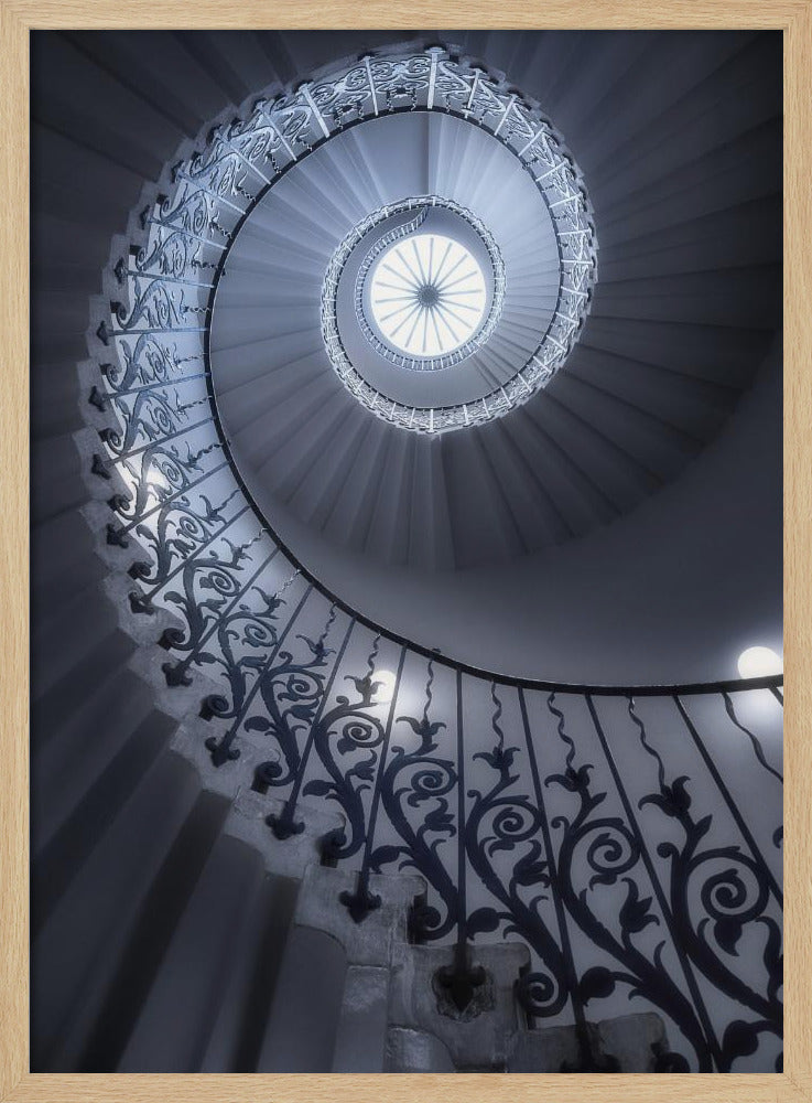 Tulpentrap | Poster