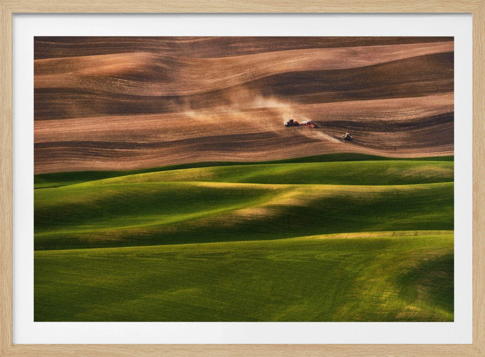Landbouwgrond | Poster