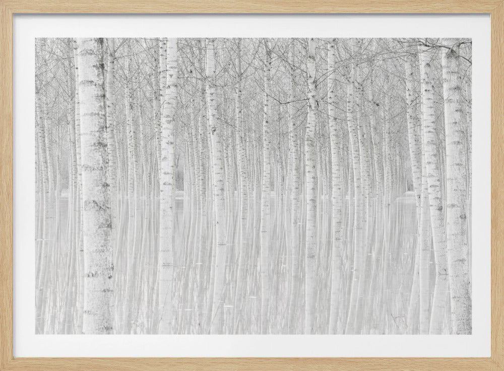 Trees | Poster