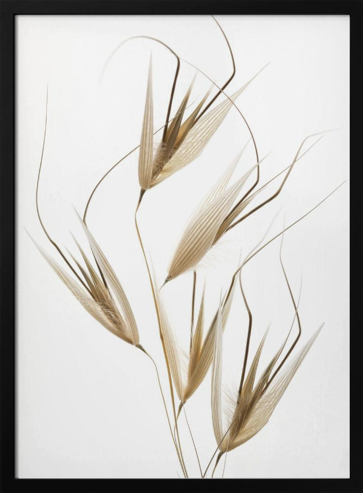 Delicatesse van de natuur | Poster