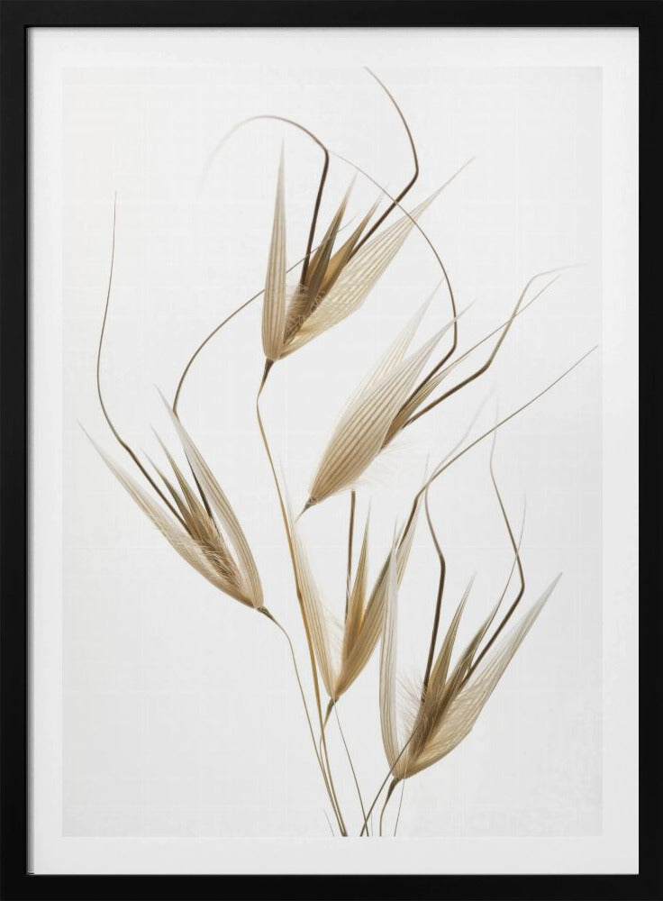 Delicatesse van de natuur | Poster