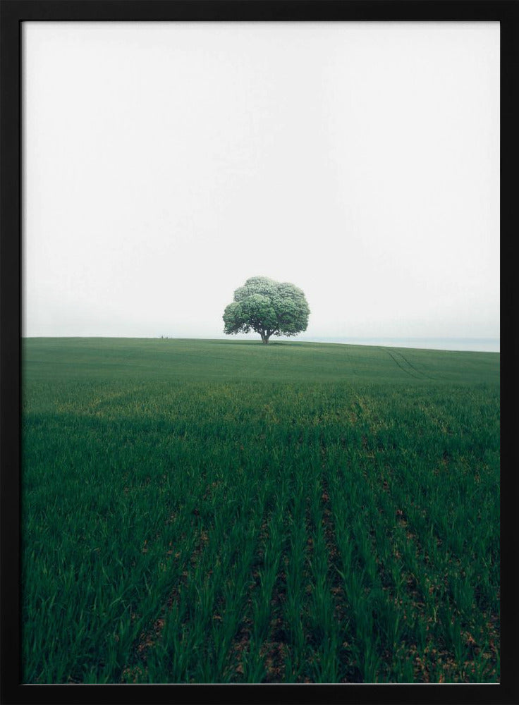 De eenzame eik | Poster