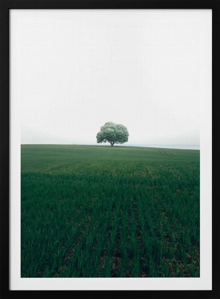 De eenzame eik | Poster