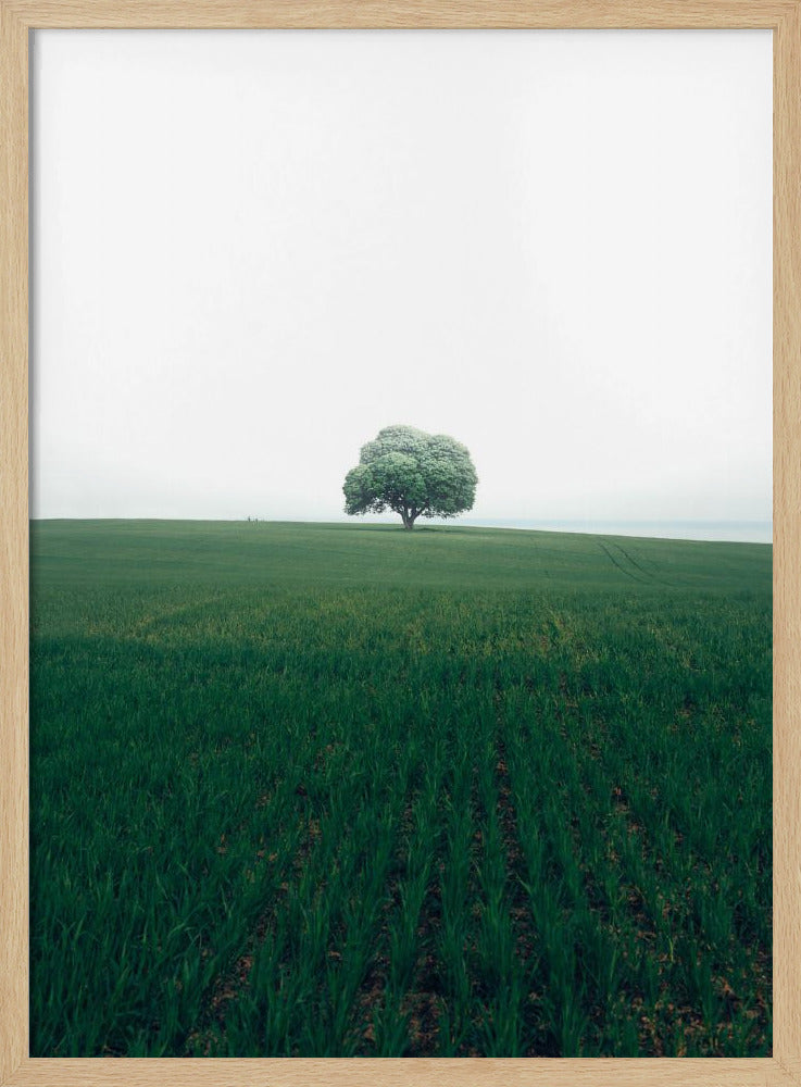 De eenzame eik | Poster