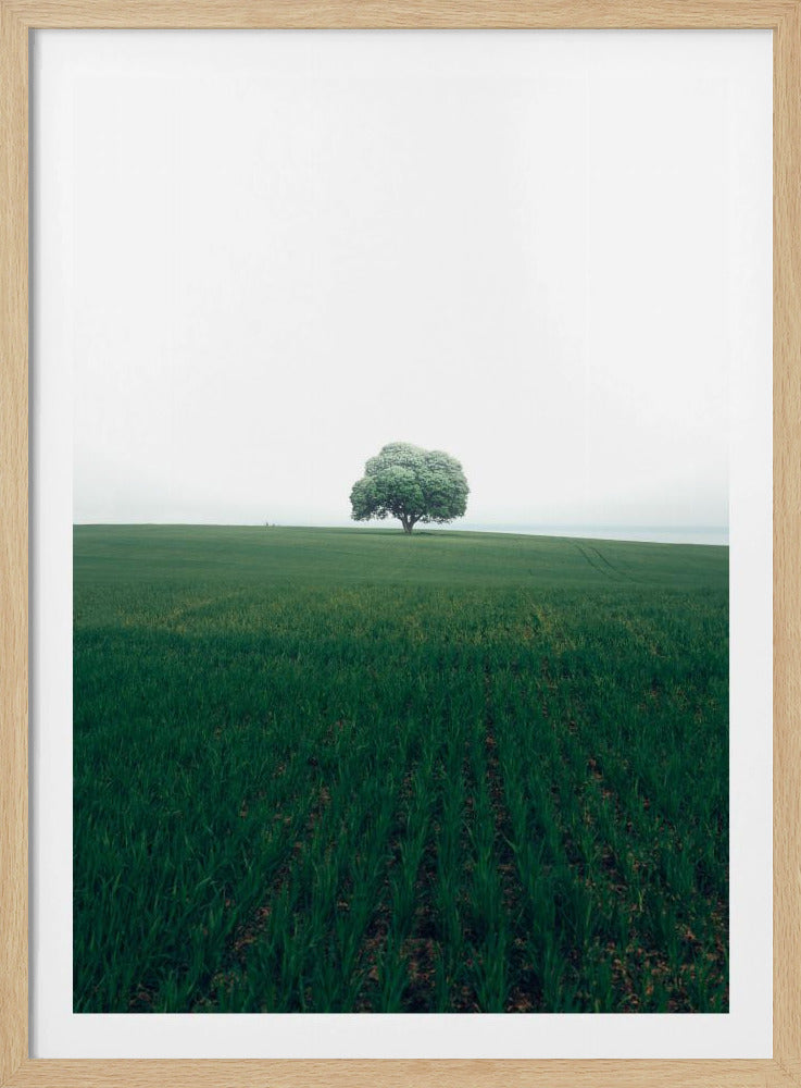 De eenzame eik | Poster