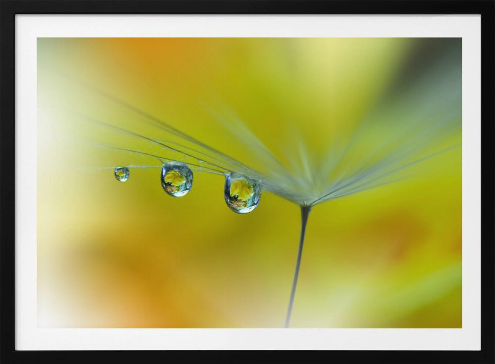 Zonnestraal...III | Poster