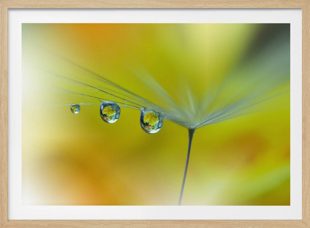 Zonnestraal...III | Poster