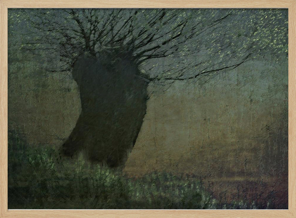 Wilg aan het water | Poster