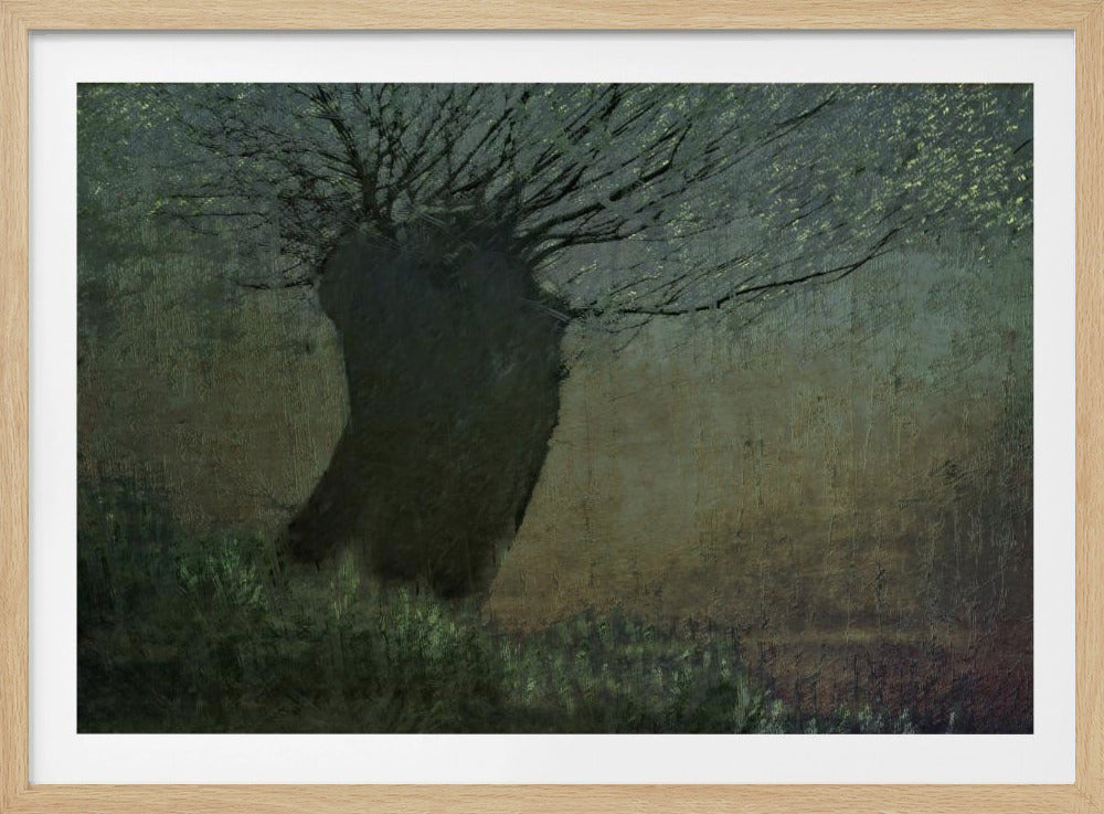 Wilg aan het water | Poster