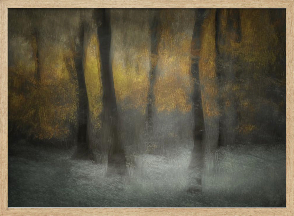 Dansende bomen | Poster