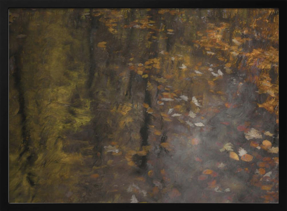 Herfstimpressie | Poster
