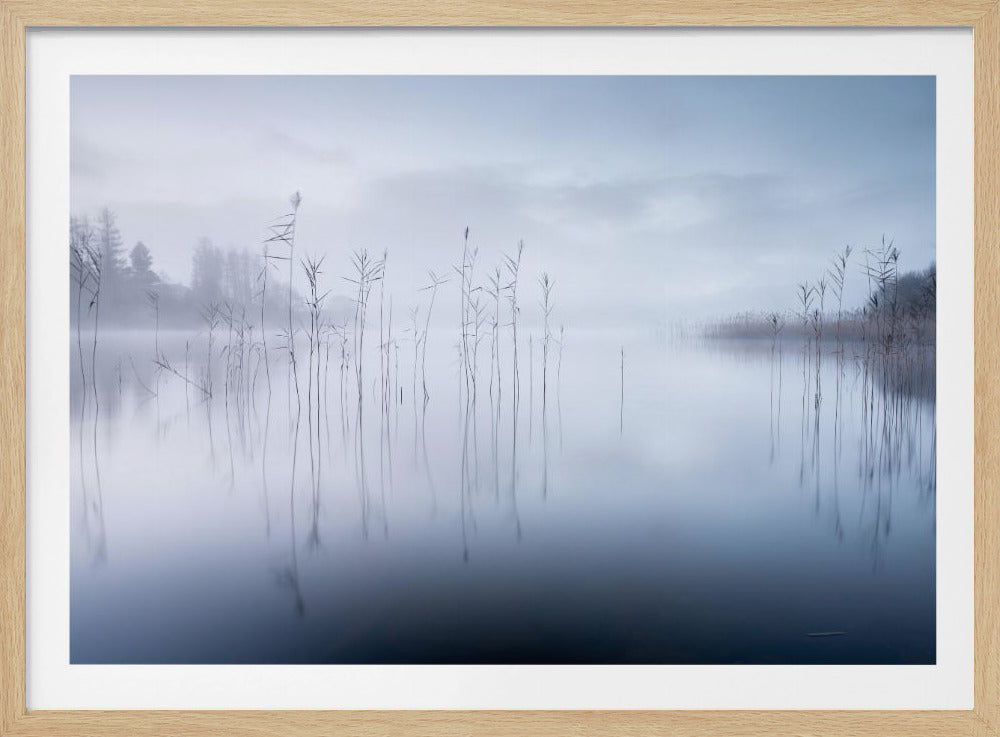Zonder titel | Poster