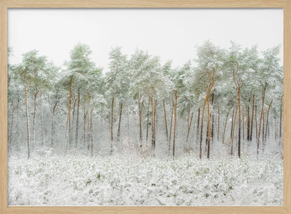 Snow world | Poster