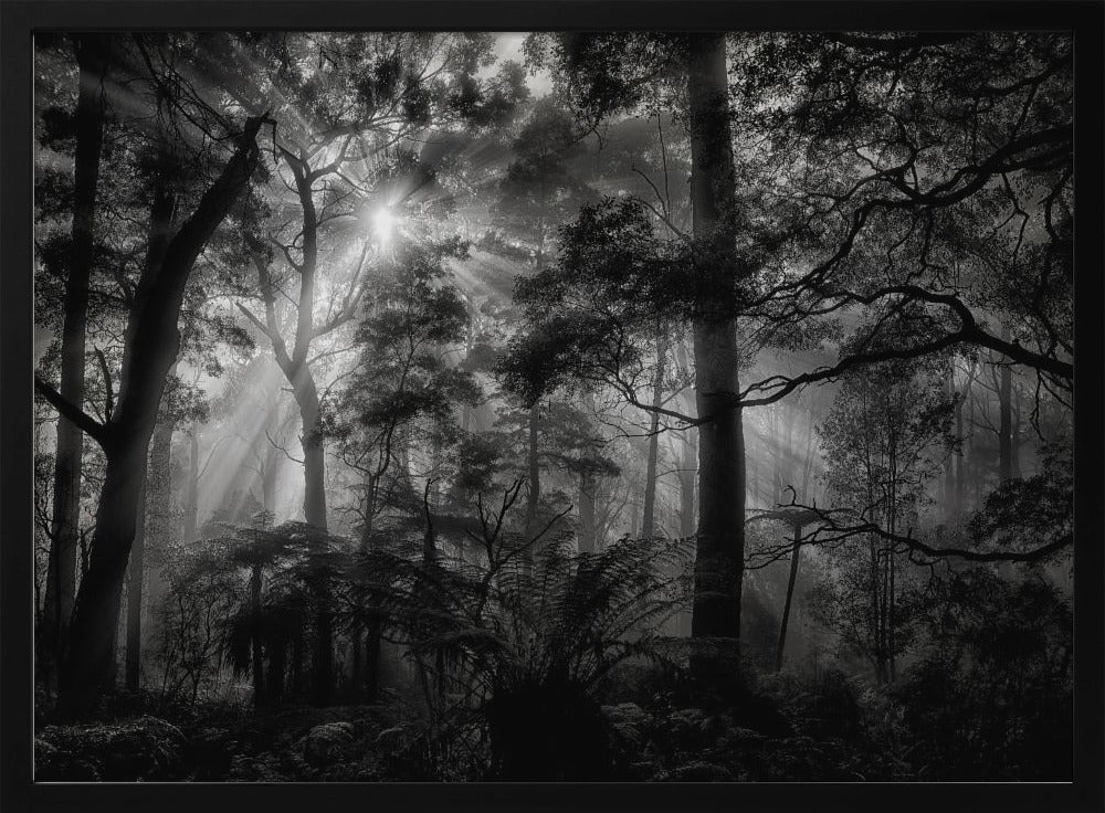 Oerbos | Poster