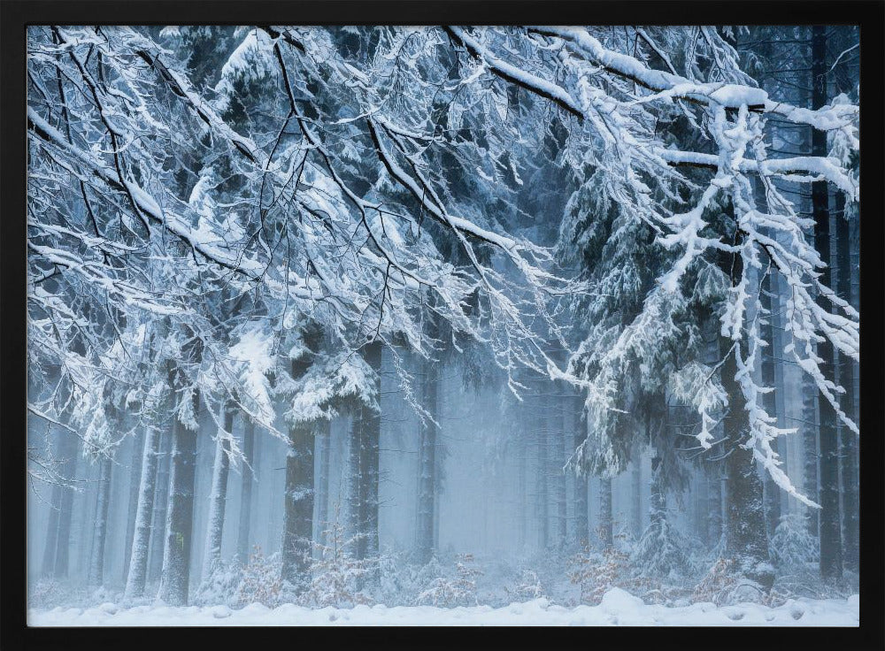 Sneeuwwereld | Poster
