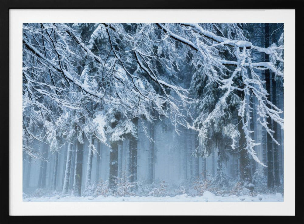 Sneeuwwereld | Poster