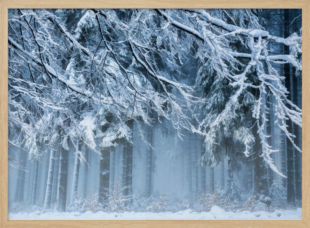 Sneeuwwereld | Poster