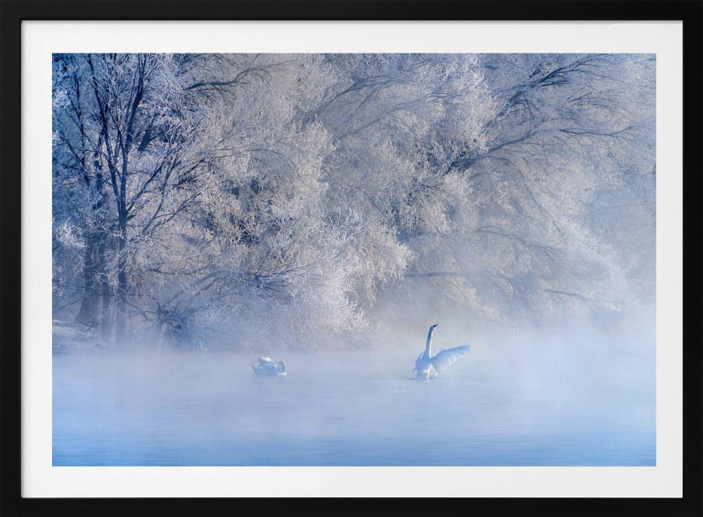 Swan Lake | Poster