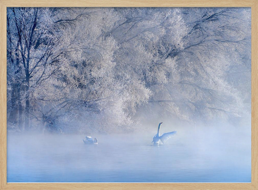 Swan Lake | Poster