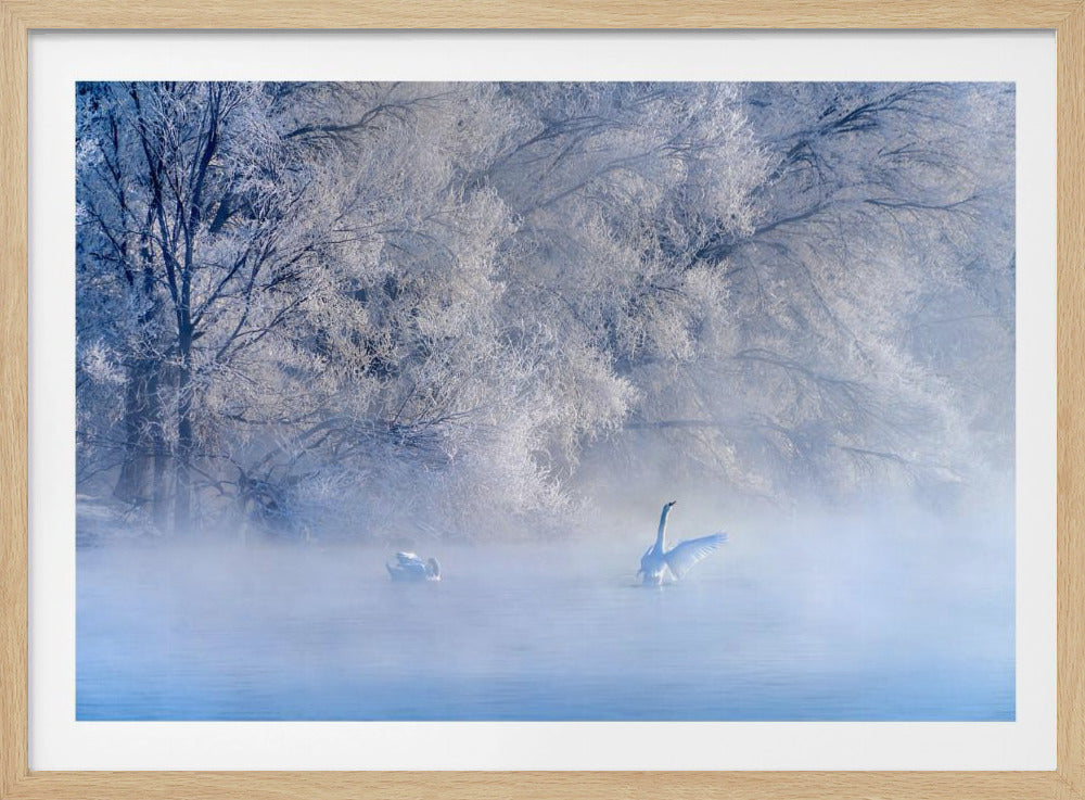 Swan Lake | Poster