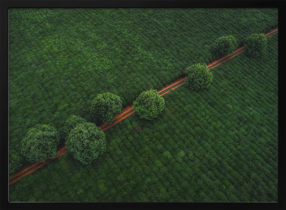 Groene Parels | Poster
