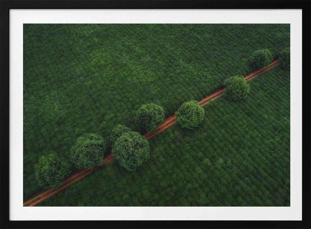 Groene Parels | Poster
