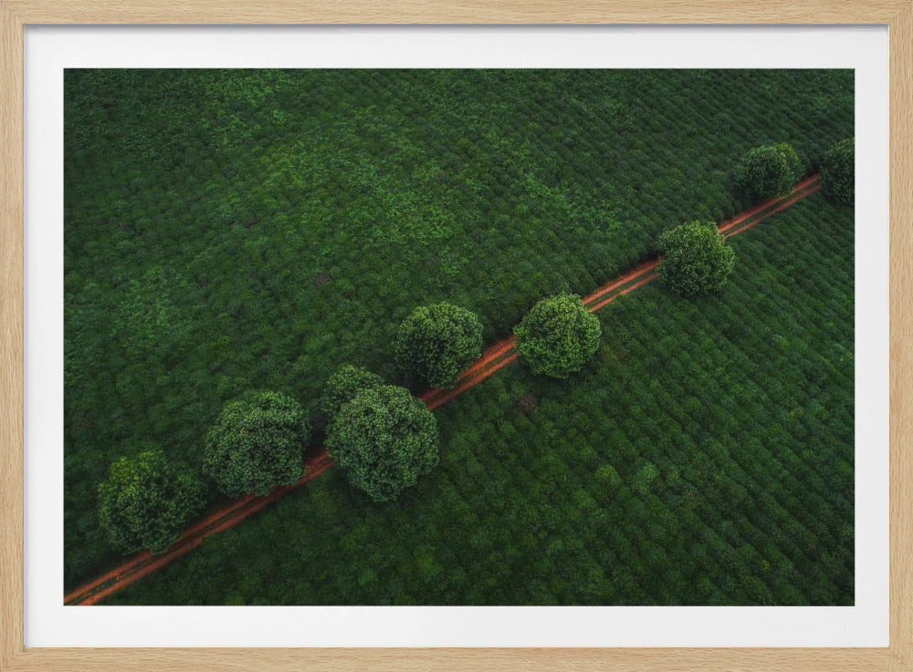 Groene Parels | Poster