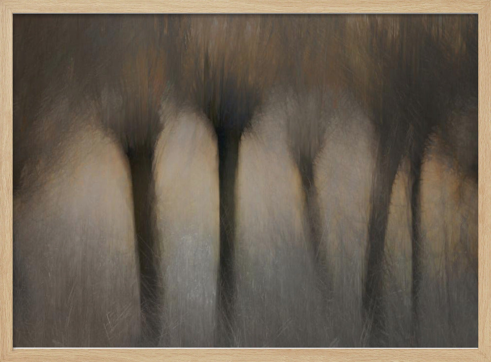 Knotwilgen | Poster