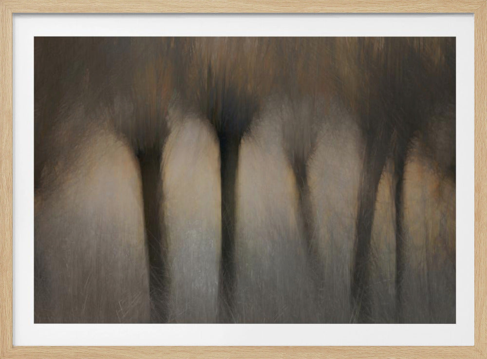 Knotwilgen | Poster
