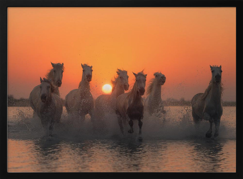 Zonsondergang in de Camargue | Poster
