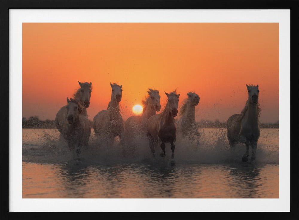 Zonsondergang in de Camargue | Poster