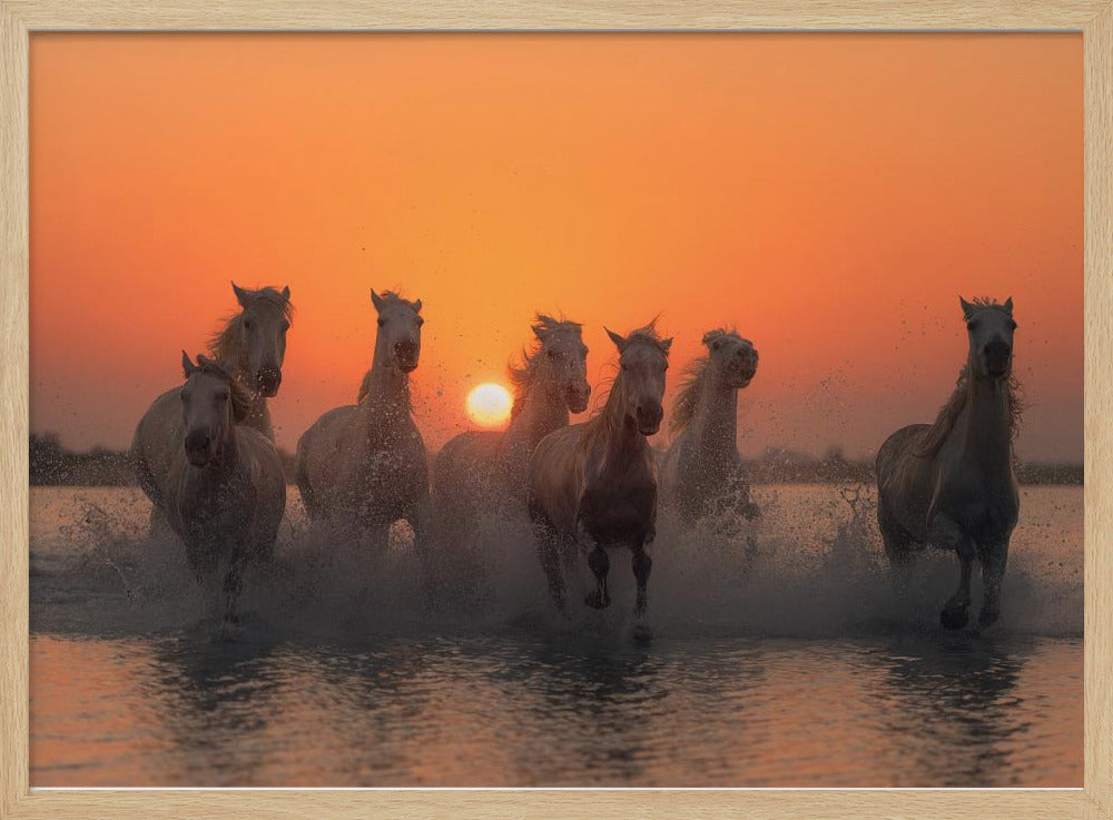 Zonsondergang in de Camargue | Poster