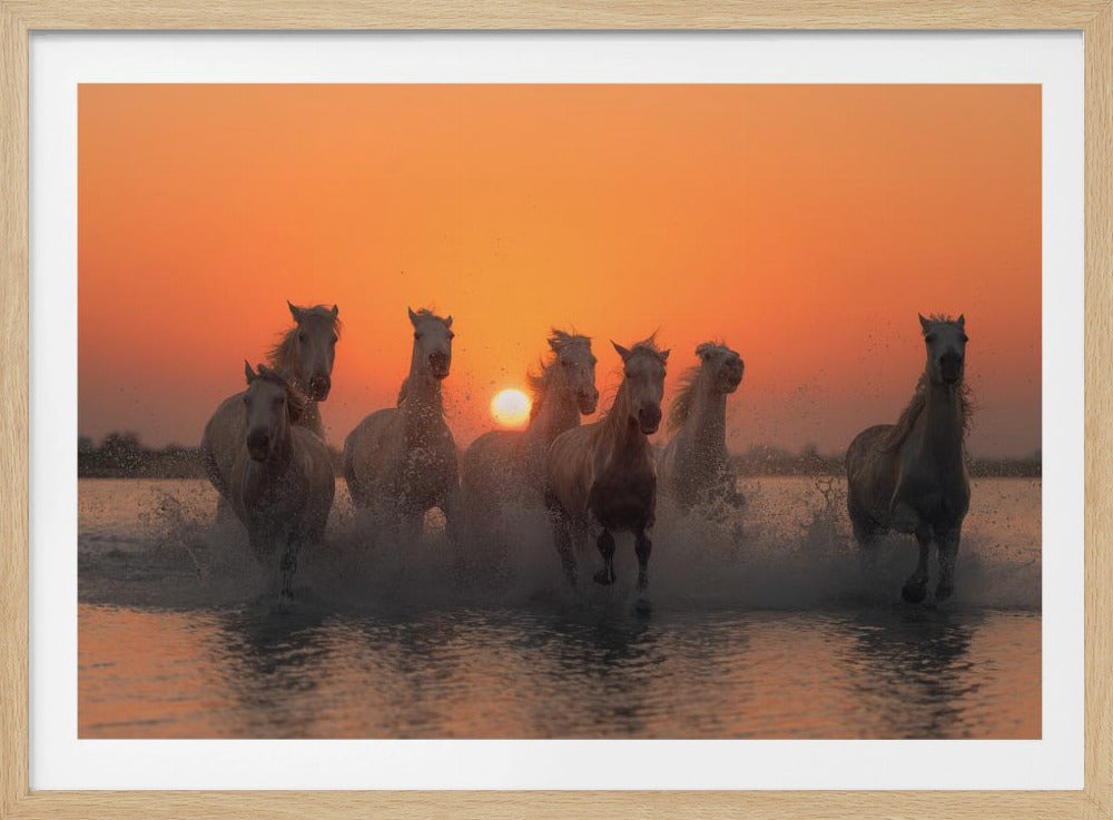 Zonsondergang in de Camargue | Poster