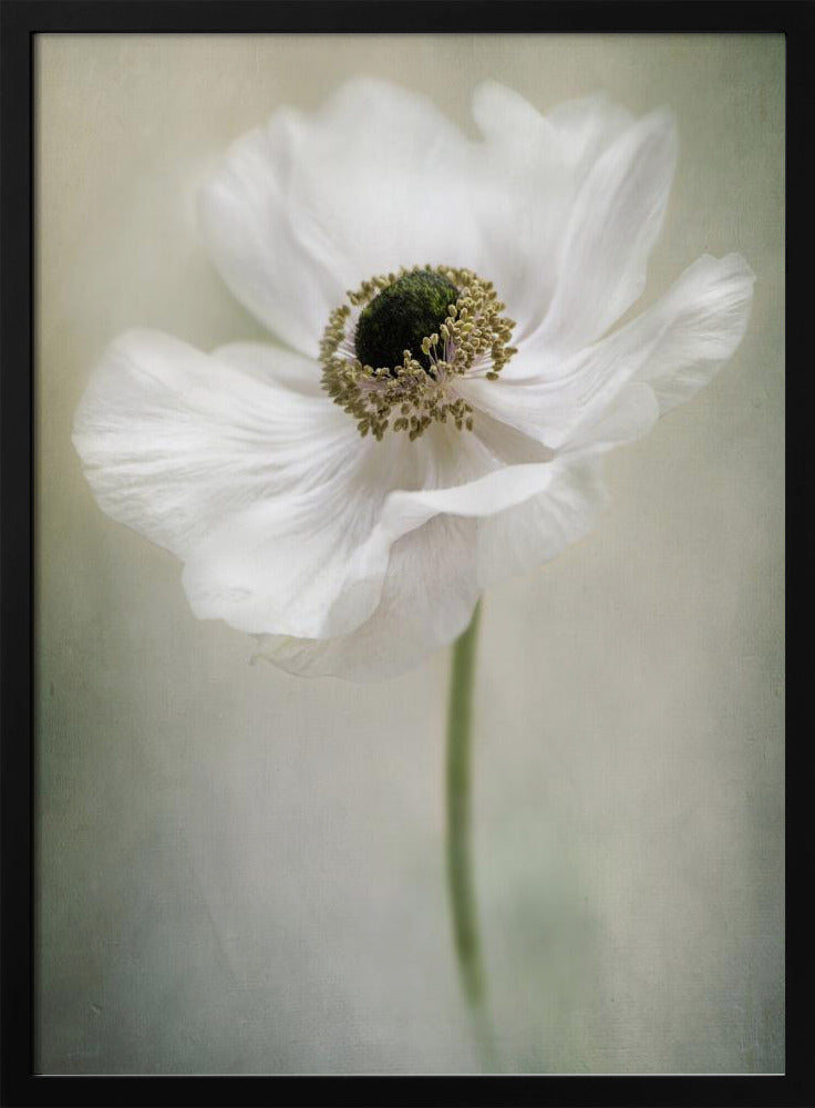 Enkele Witte | Poster