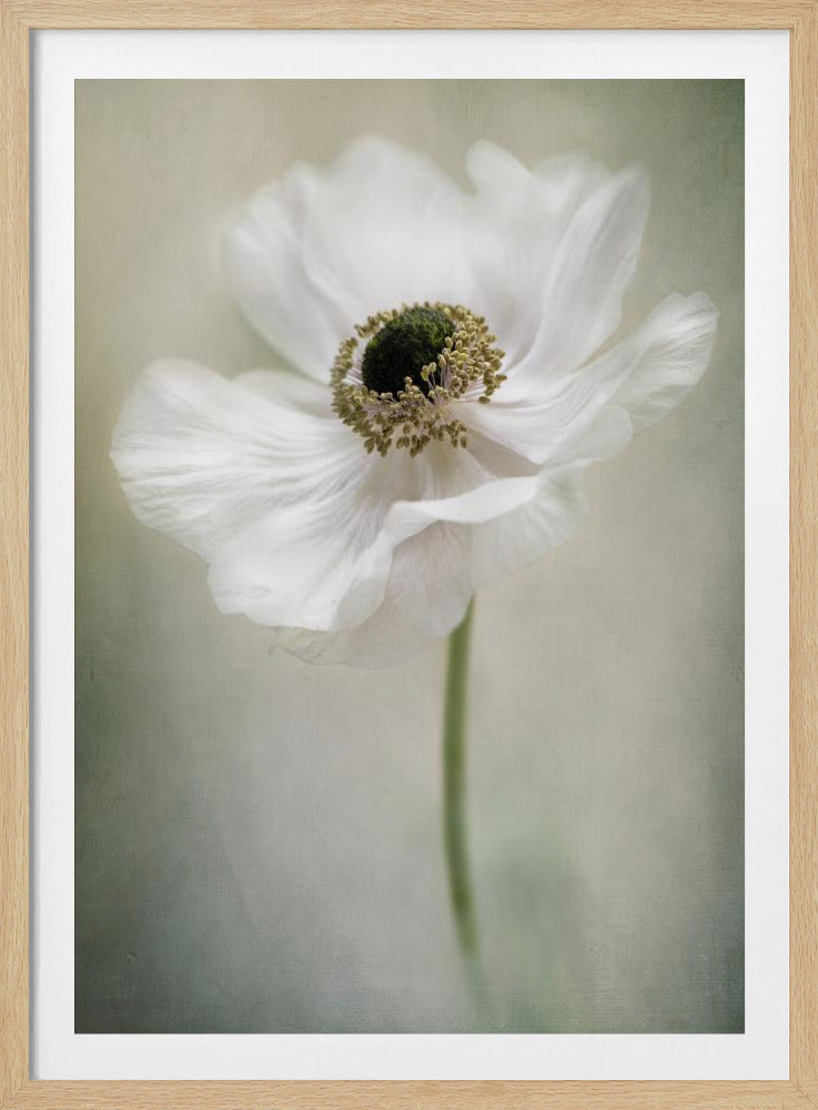 Enkele Witte | Poster