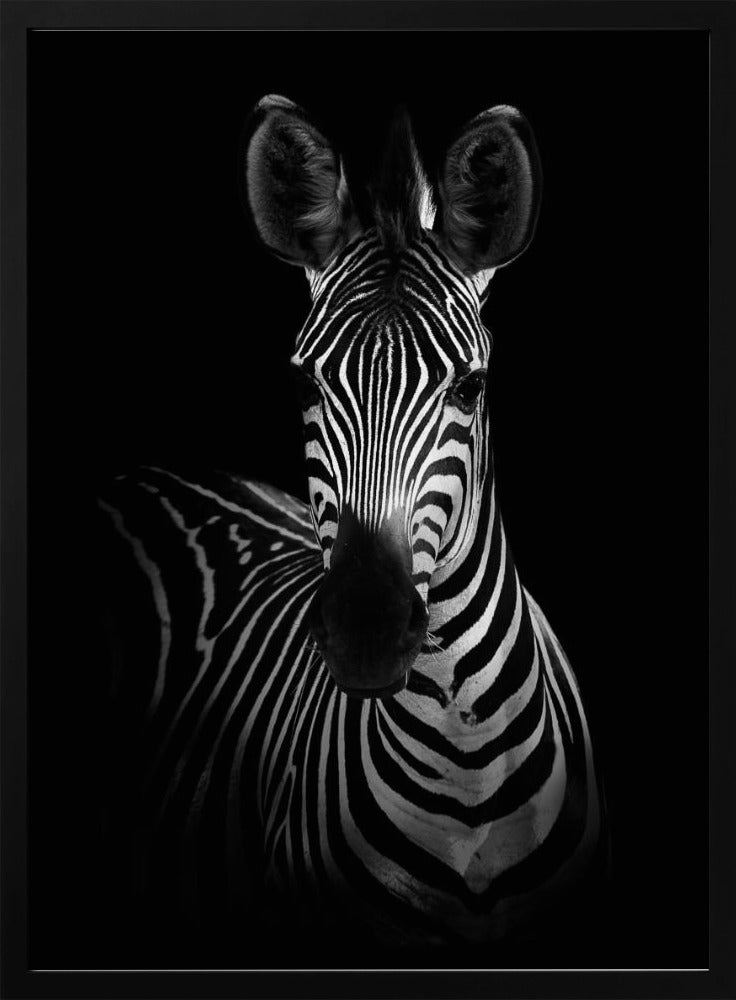 De Zebra | Poster