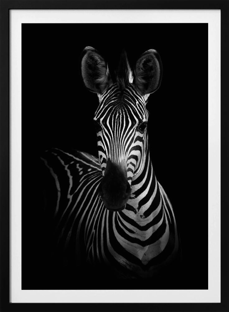 De Zebra | Poster