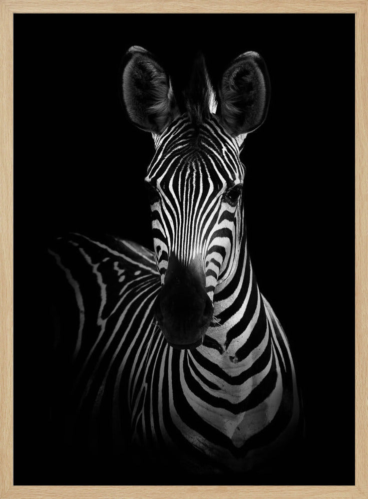De Zebra | Poster