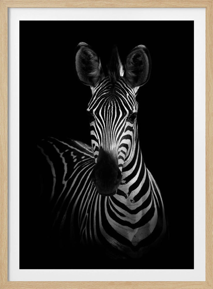 De Zebra | Poster