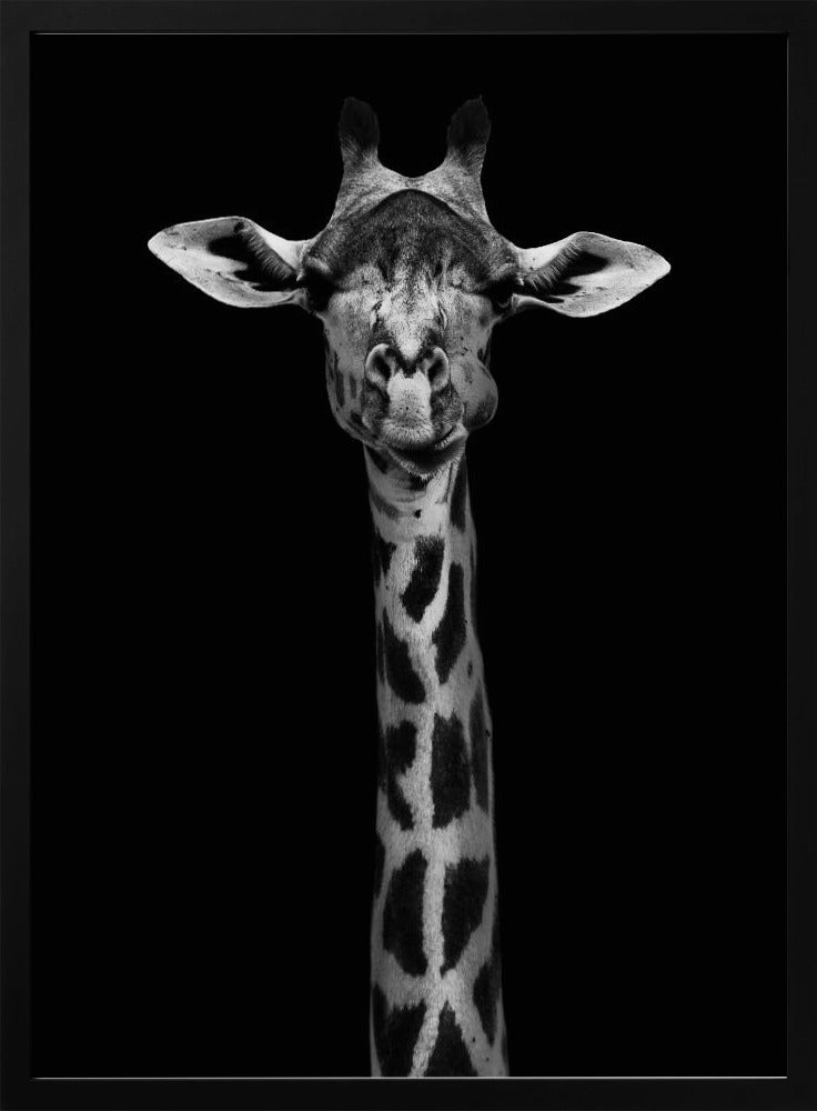 Girafportret | Poster