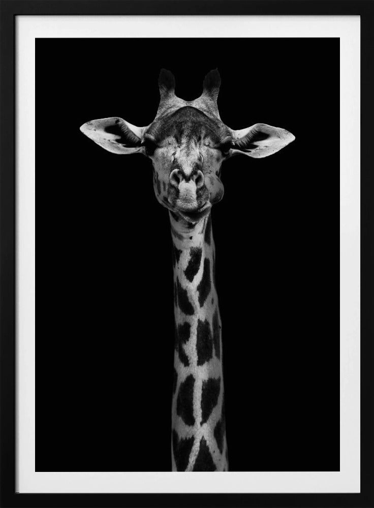 Girafportret | Poster