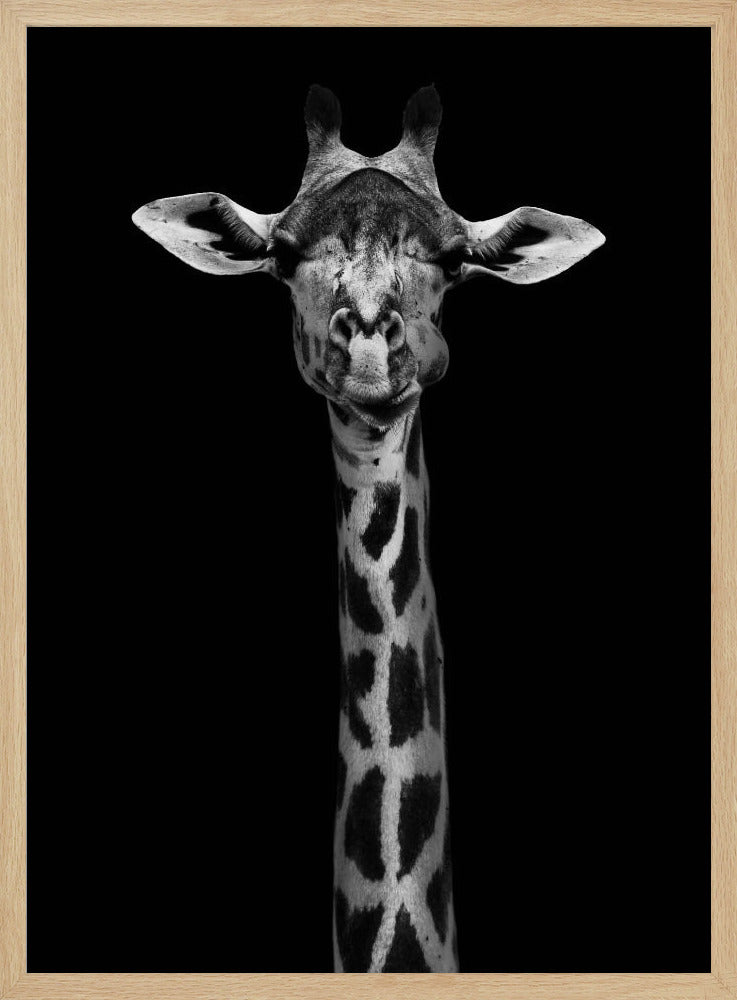 Girafportret | Poster