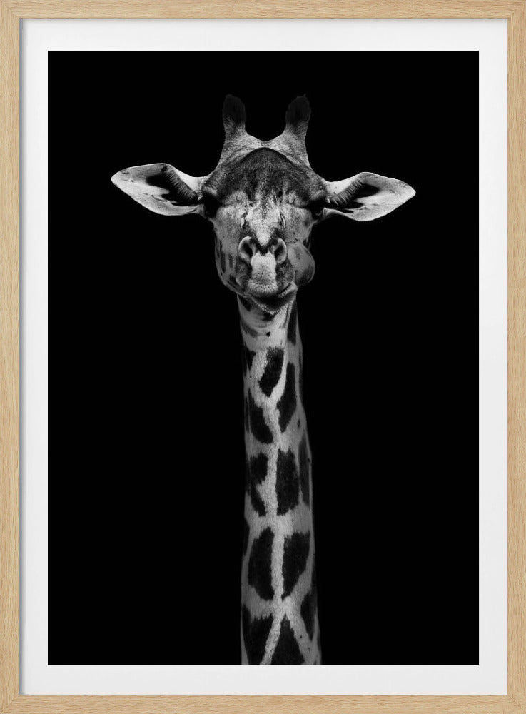 Girafportret | Poster