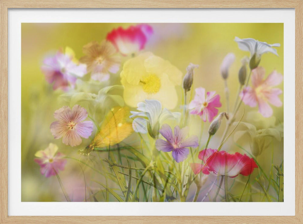 Kleine tuin in een zomerveld | Poster