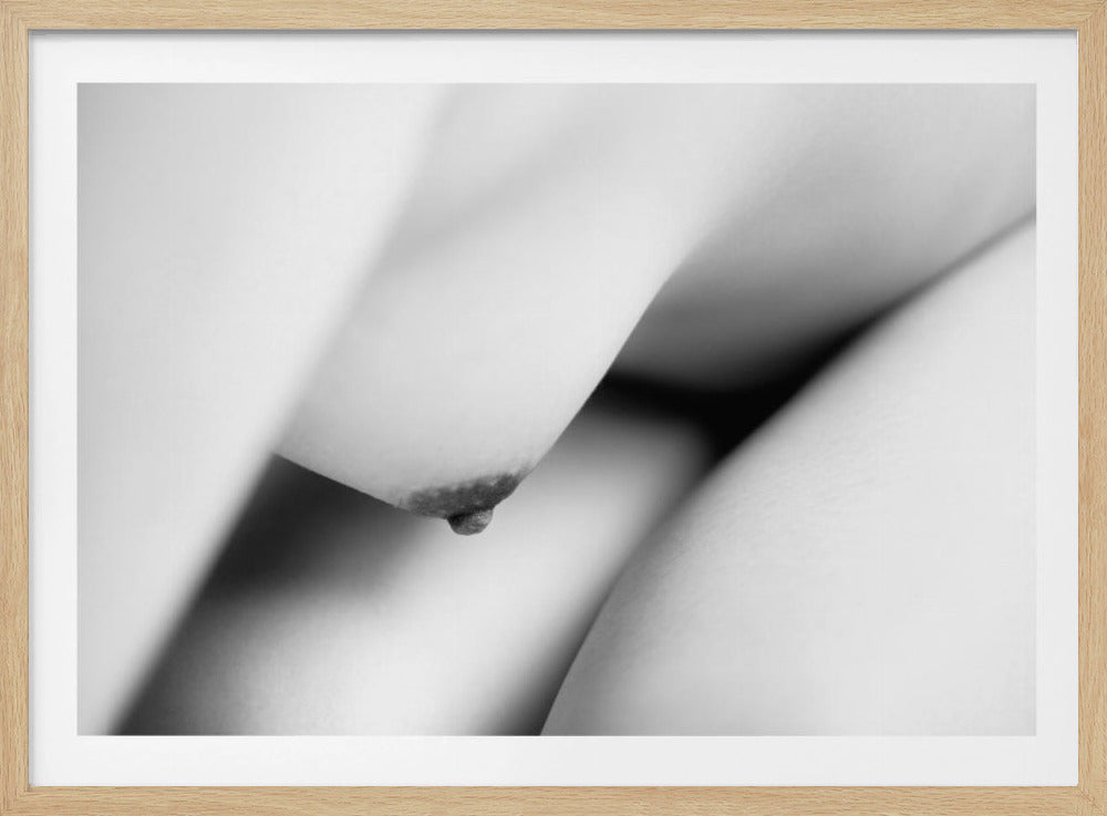 Het lichaam | Poster