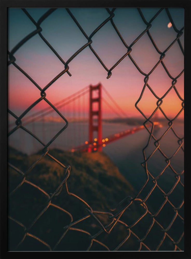 Golden Gate Gekooid | Poster