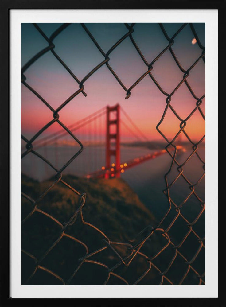 Golden Gate Gekooid | Poster