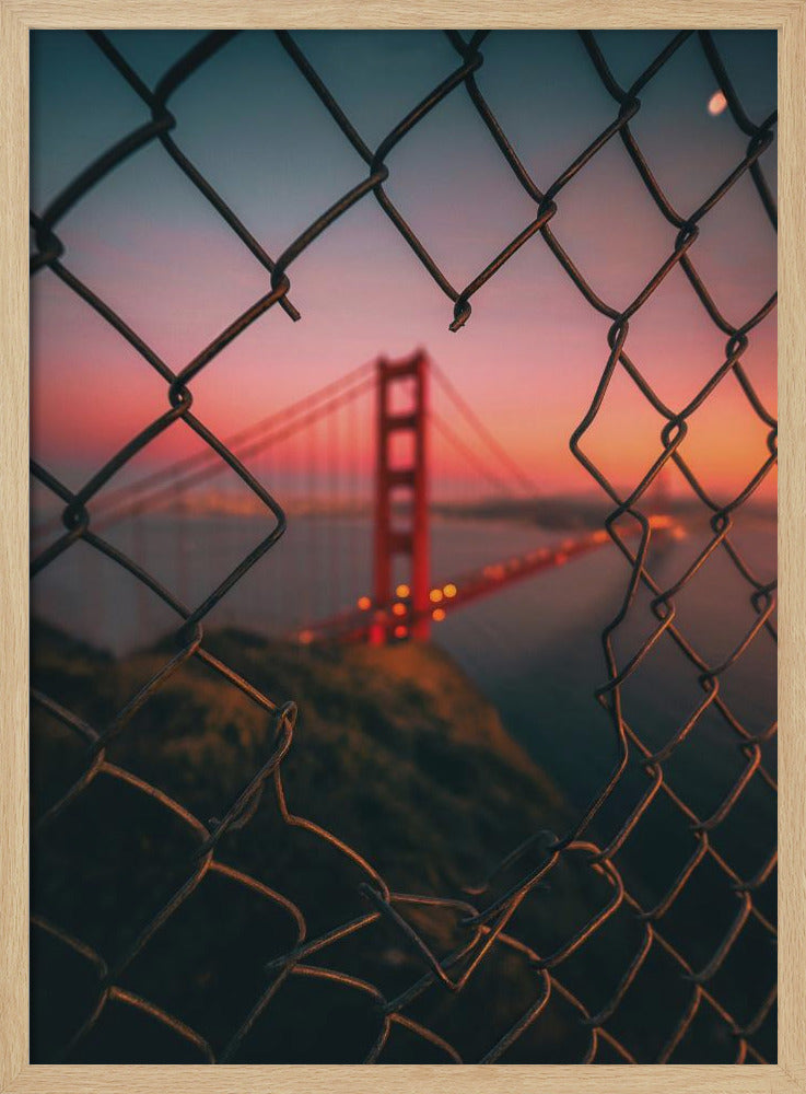 Golden Gate Gekooid | Poster