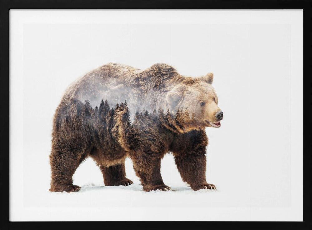 Bear | Poster